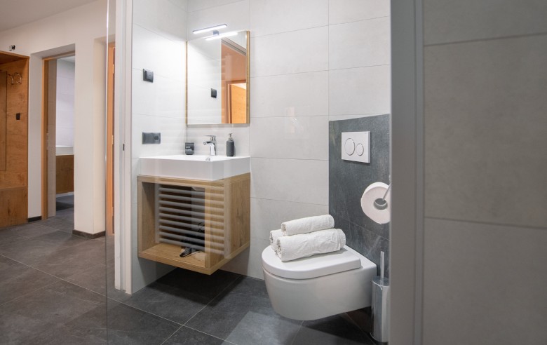 Bagno appena arredato con asciugamani, ampia doccia, WC e asciugacapelli